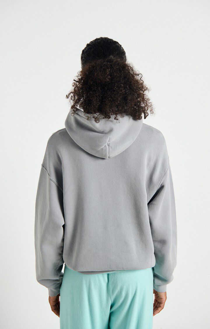 Hoodie Izu03d Brouillard-Vintage