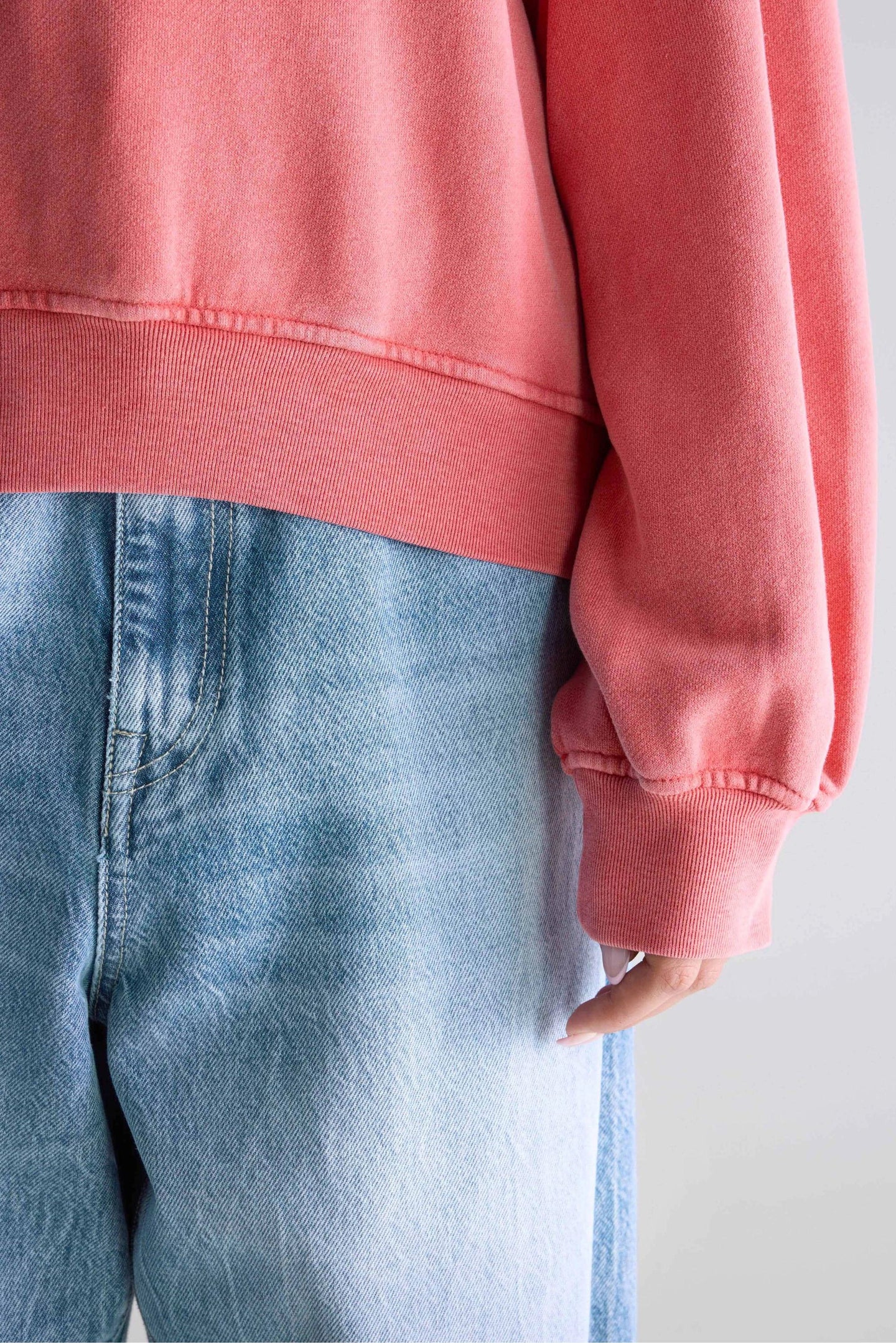 Bw252309 T1509 Filosa T1509 Sanguine