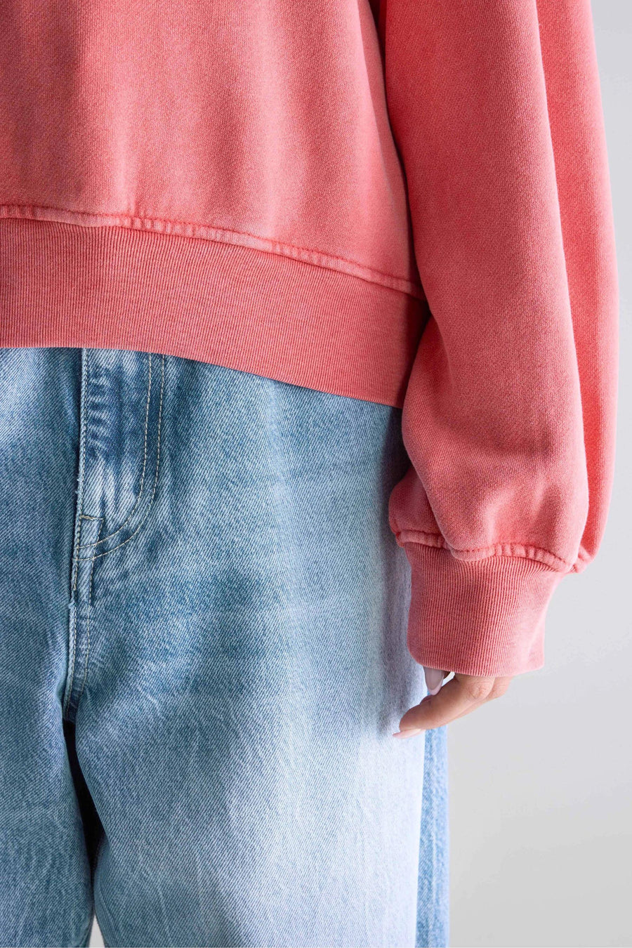 Bw252309 T1509 Filosa T1509 Sanguine