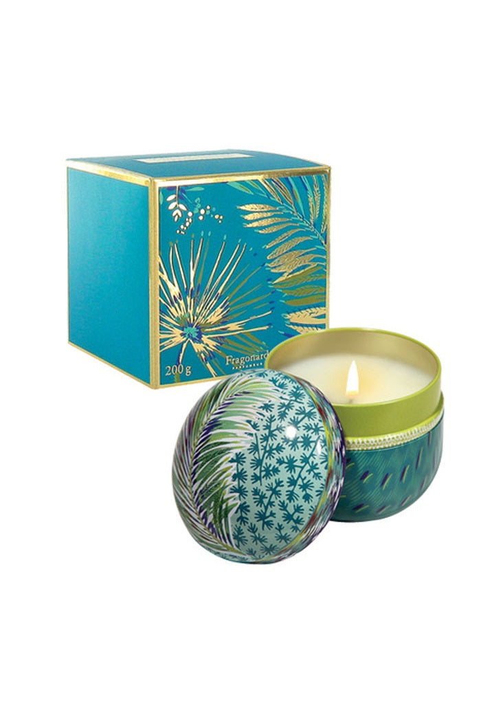 Candle Jfb206 Coriandre-Lemongrass