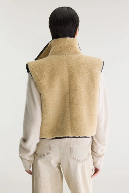 BELLEROSE-187 JONSON T1859-SHEEP_05.jpg