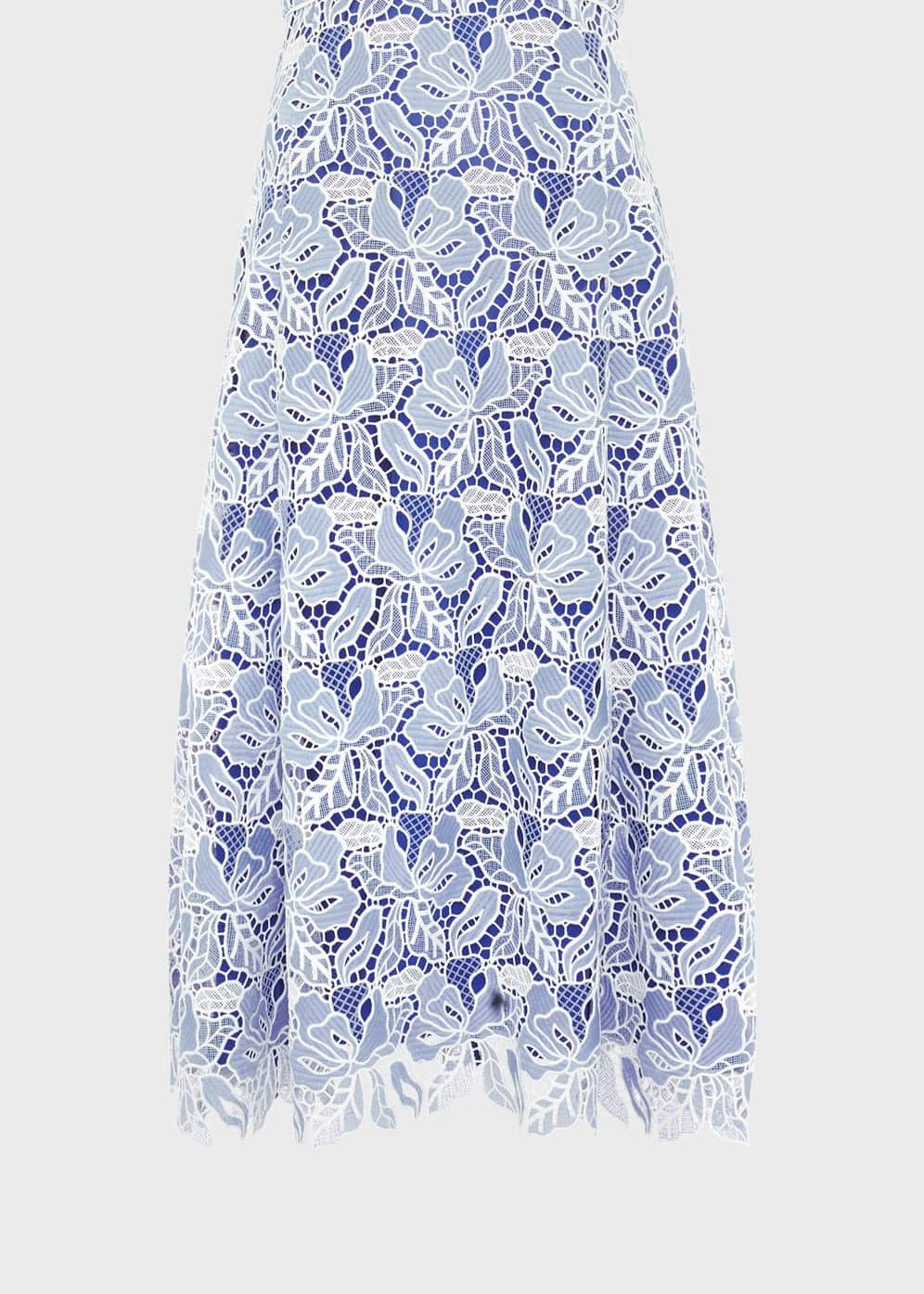 Phoebe Lace Dress 0124/5534/9045l00 Blue-Ivory