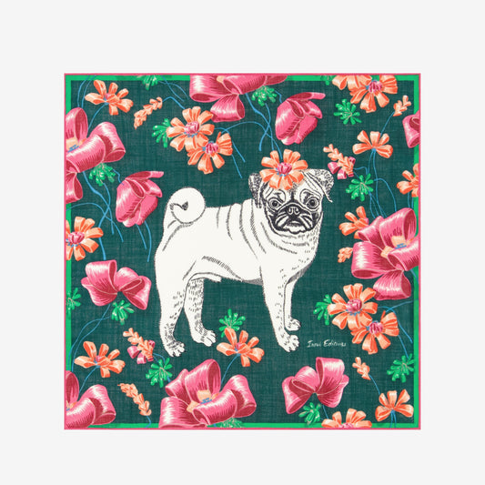 Scarf Ca22tou26 Emerald