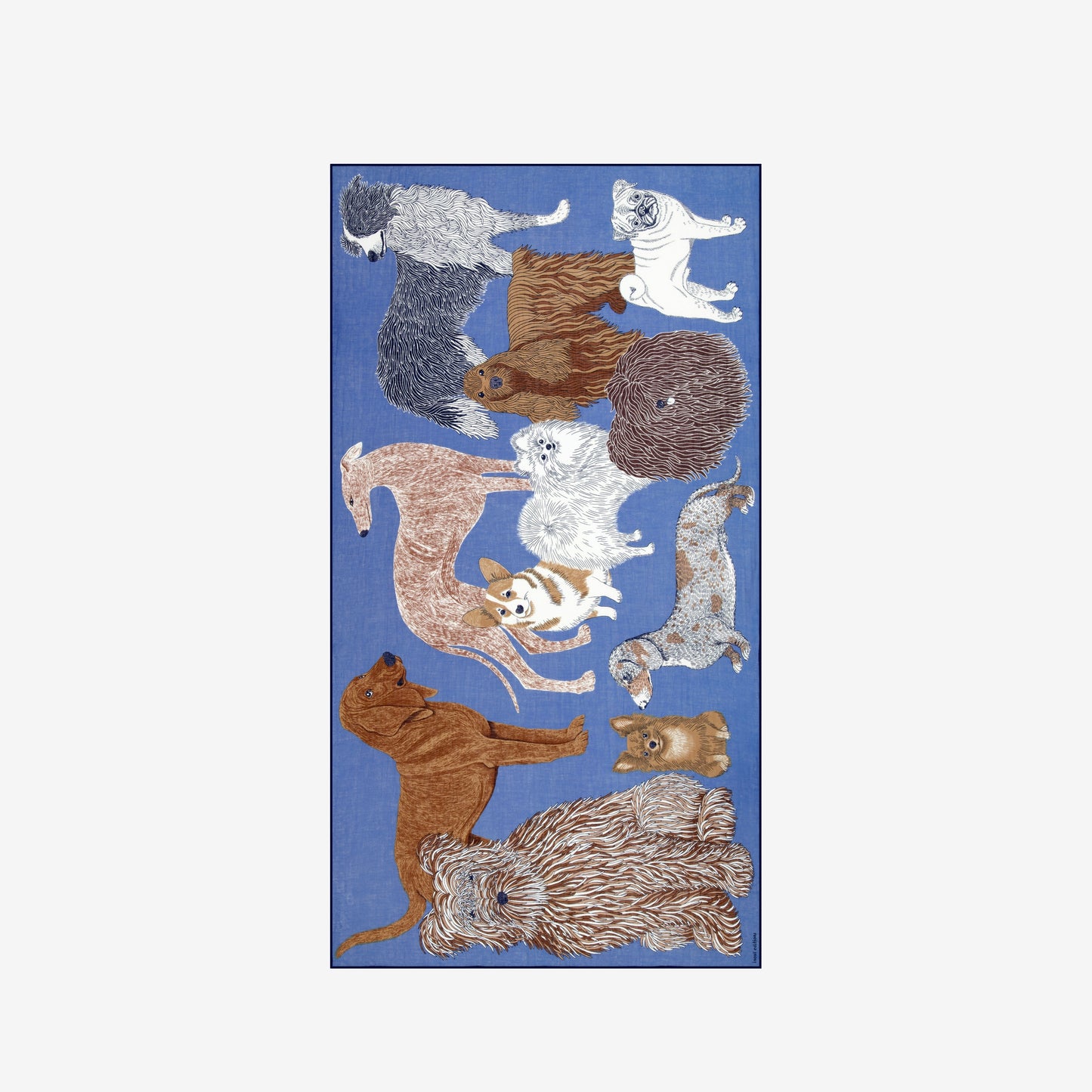 Scarf Et231to04 Blue