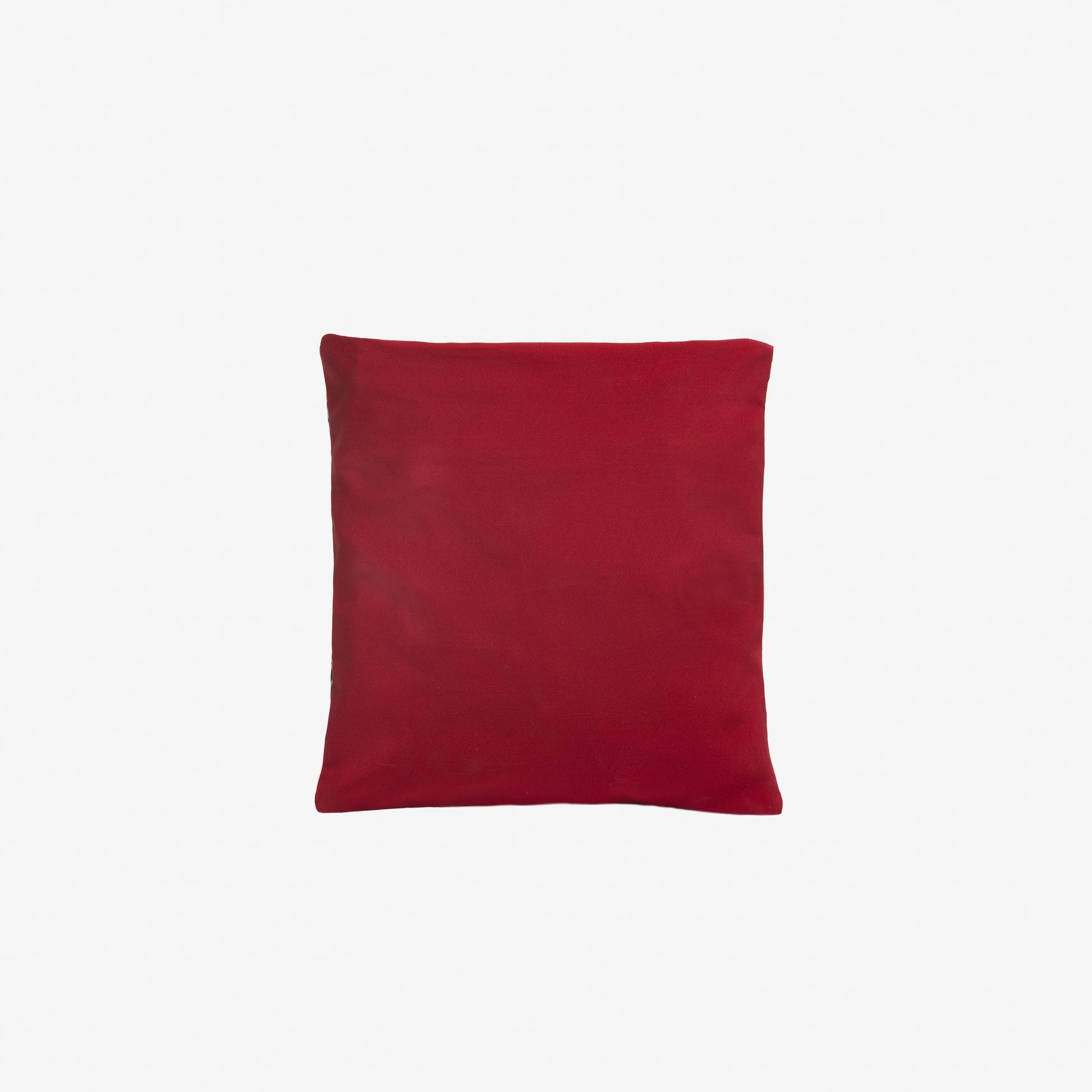 INOUI-228 PM23SHM06-RED_04.jpg