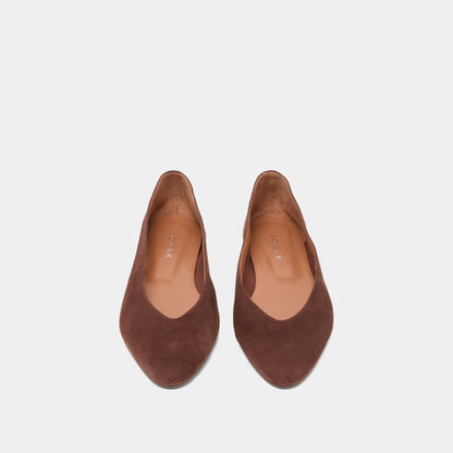 Ballerines Dassus Velours Marron-Fonce