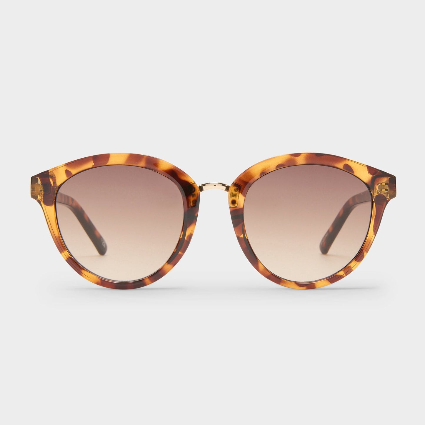 Sunglasses Influx 2552128 Cola-Tort
