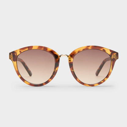 Sunglasses Influx 2552128 Cola-Tort