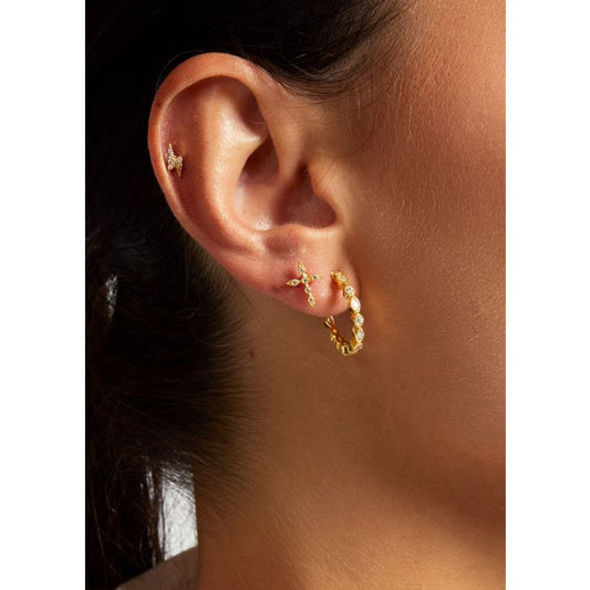 Earring Bo-236g Gold