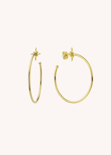 Earring Bo-259g Gold