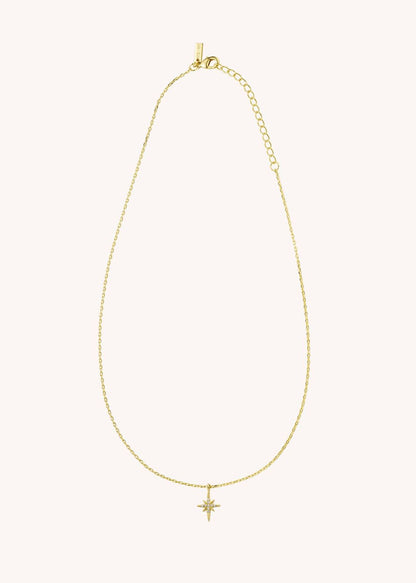 Necklace Co-116g Gold