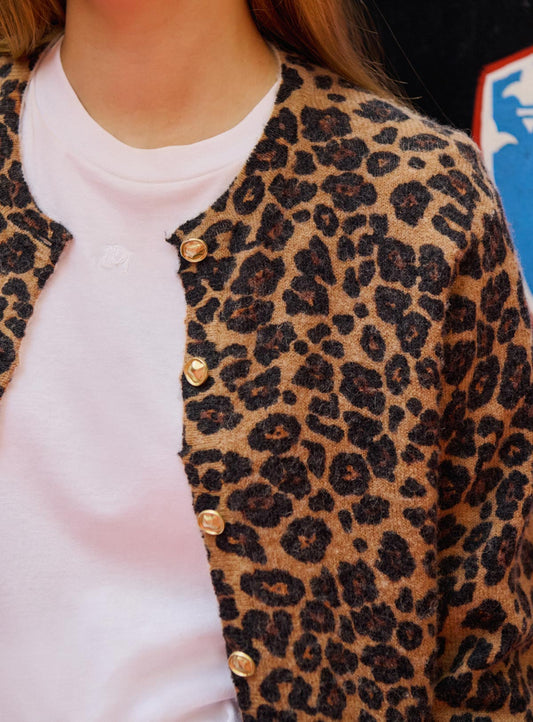 Cardigan 225myriam Guepar Noisette