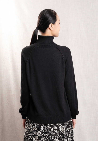 Turtleneck Knitted Paremo 9873 Noir