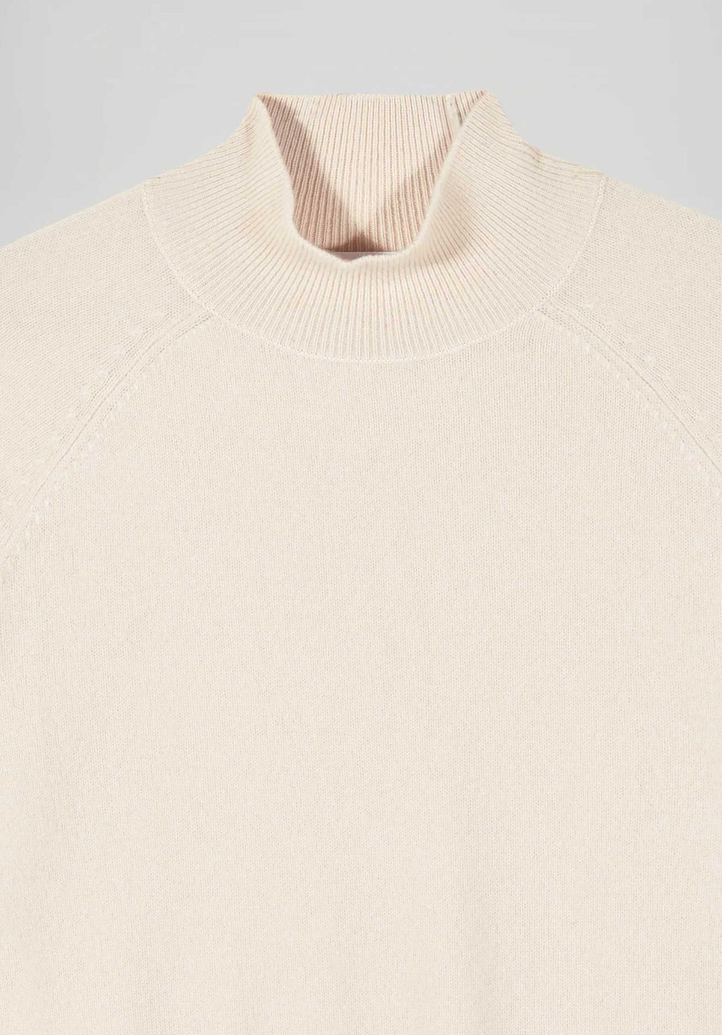 Turtleneck Knitted 2401wpm01306 Sable
