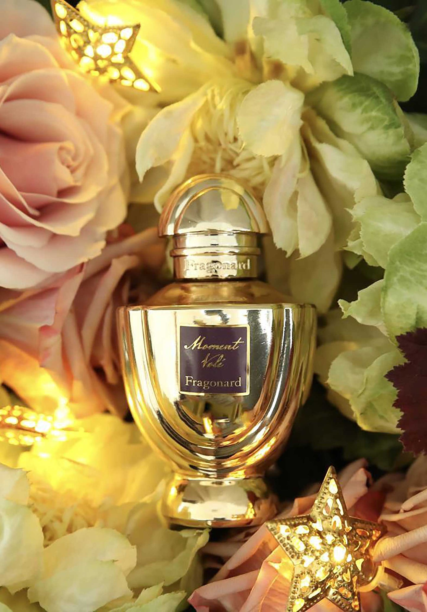 Gift Set Fc050mv Moment-Vole