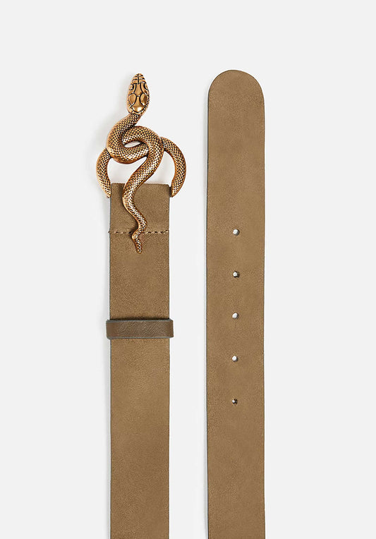 Belt 2hvd29-v42411 Grey