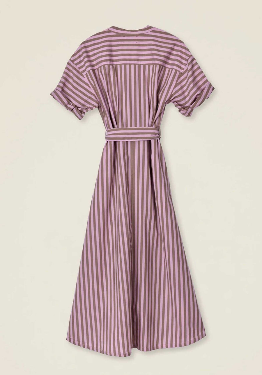 Dress X384552 Liora Dress Cinnarose-Stripe