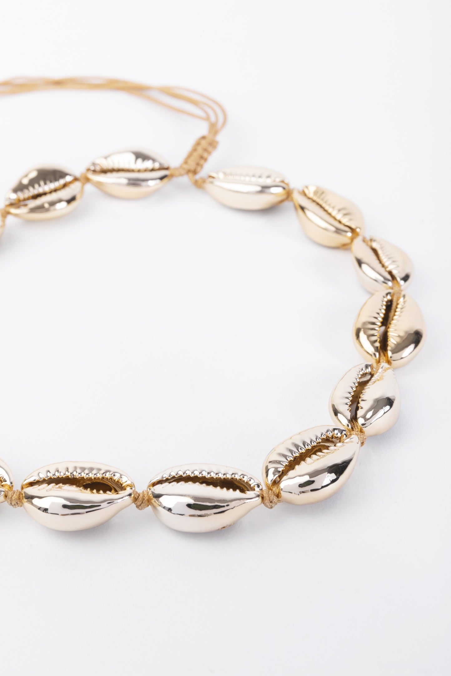 Shell Bracelet